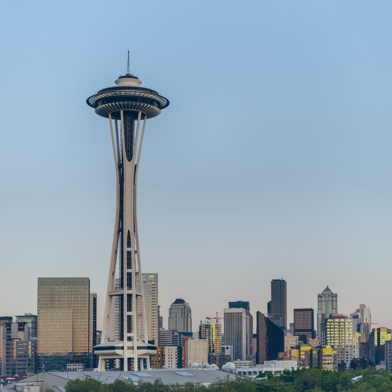 One-time donation to the APDA Northwest Chapter.  Image of Seattle Space Needle